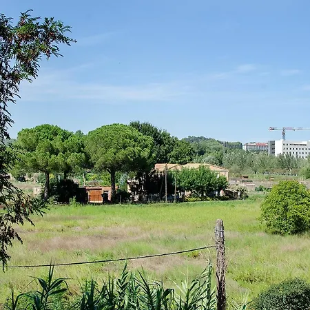 Orchard View